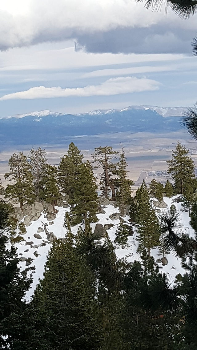 A room with a view