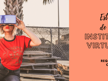 Sobre los estándares de  calidad  en  la educación virtual