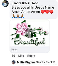 Screenshot_20201226-130943_Facebook_edit