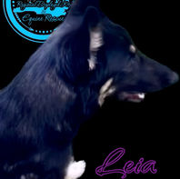 image_6487327 (11).JPG