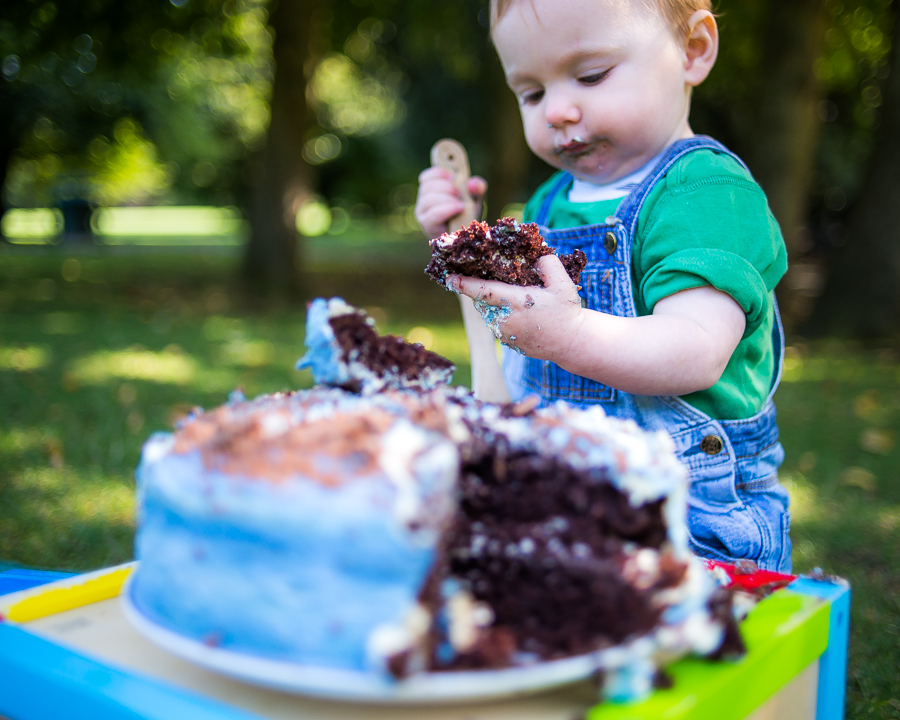 Cake Smash Photography Session at St Annes Park in Dublin by Camila Lee Family Photographer 