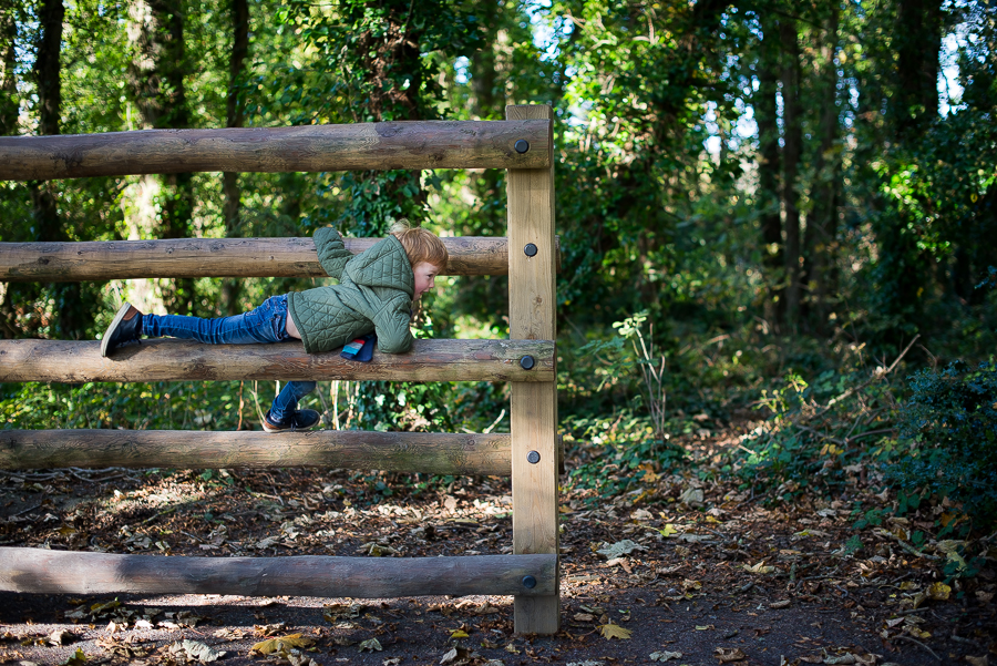 Boy climbing on a wood gate at Malahide Castle in Dublin in Ireland
