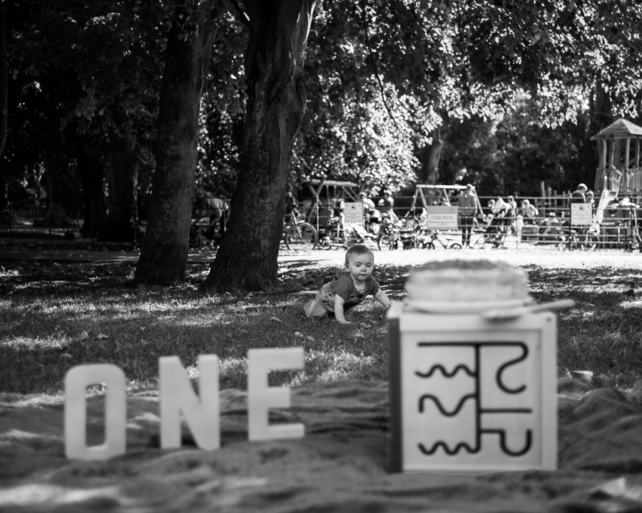 Cake Smash Session at St Annes Park in Dublin by Camila Lee Family Photographer 