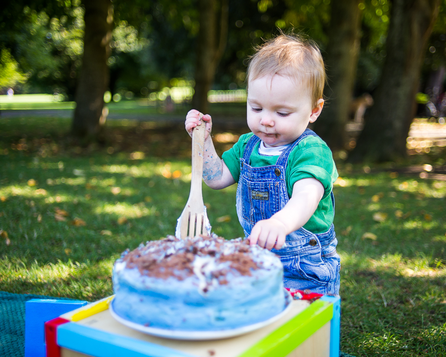 Cake Smash Photography Session at St Annes Park in Dublin by Camila Lee Family Photographer 