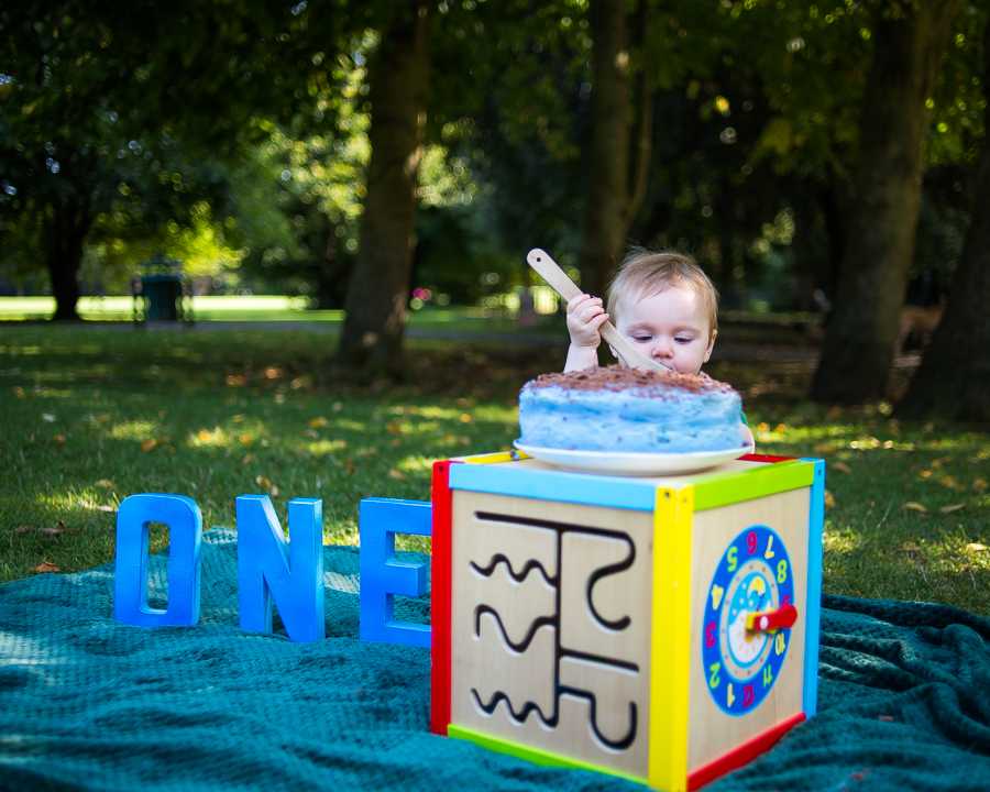 Cake Smash Photography Session at St Annes Park in Dublin by Camila Lee Family Photographer 