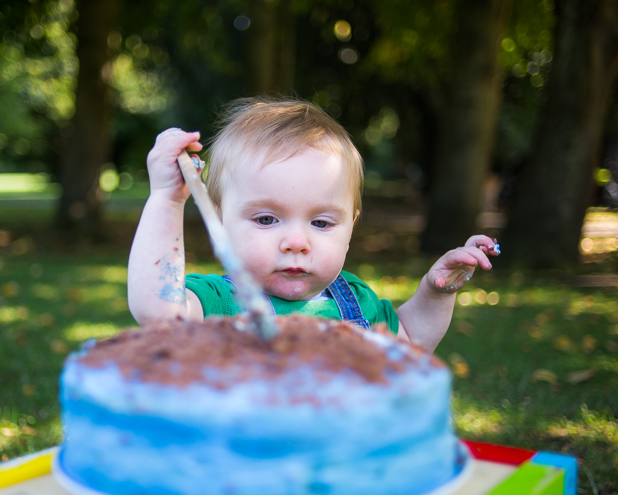 Cake Smash Photography Session at St Annes Park in Dublin by Camila Lee Family Photographer 