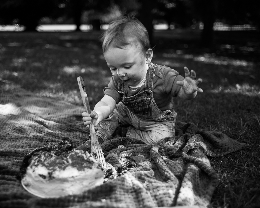 Cake Smash Photography Session at St Annes Park in Dublin by Camila Lee Family Photographer 