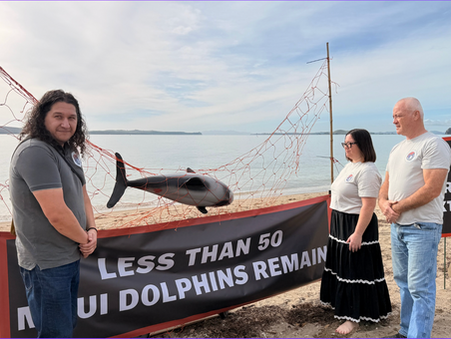 On Saturday, Tāngaro Tuia te Ora, the Endangered Species Foundation, joined forces with LUSH, Moana Rāhui o Aotea and Māui and Hector's Dolphin Defenders at Kohimaramara, Mission Bay, to take a stand for the critically endangered Māui dolphins. 