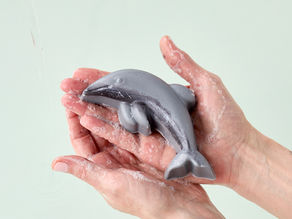 LUSH Launches National Campaign With Endangered Species Foundation To Protect Māui Dolphins