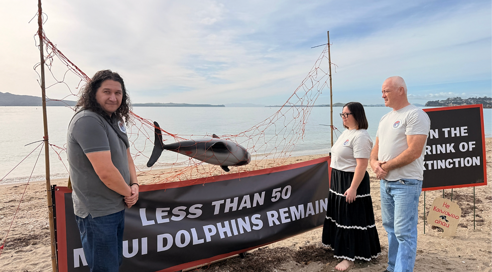 Dr Paul Brown, Aotea Apiti, and Davis Apiti of Moana Rāhui o Aotea, the environmental arm of Ngāti Te Wehi