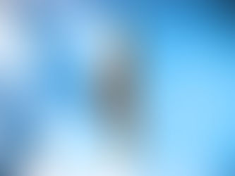 満足ゆくまで、羽は伸ばせているか