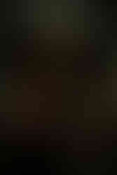 Halloween Photo Session Minnesota Photographer Sydney Kate Photography.jpg