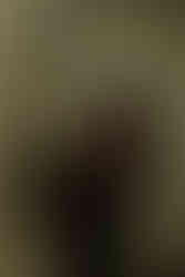 Halloween Photo Session Minnesota Photographer Sydney Kate Photography.jpg