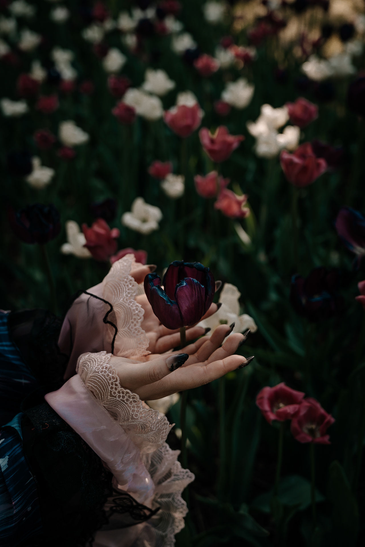 Moody Gothic Portrait Photography