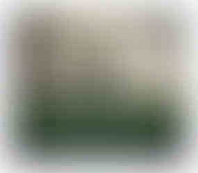 4358056834_c3b5330bcb_o