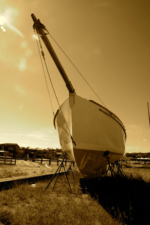 e493a1af-65b0-463a-b856-9e321a6fbb61.original