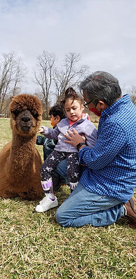 alpacaKidDad.jpeg
