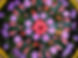 IMG_0484.jpeg