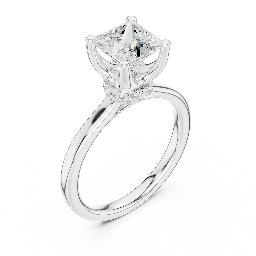 Petra Princess white gold engagement ring at an angled view