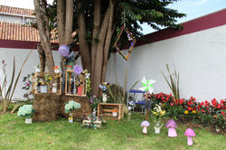 IMG_7051