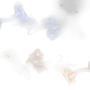 colorful-smoke-movement-black-background 1.png