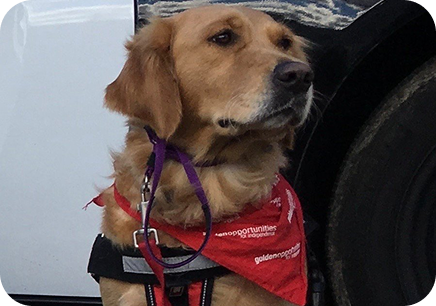 Rectangle 42485 (5).png