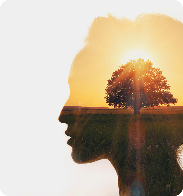 sunhead.png