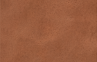 Group 98.png