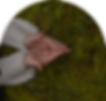 Rectangle 25.png
