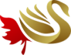 Radsam Logo