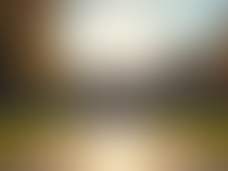 Latest Updates on Canada Immigration Policies