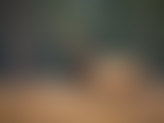 Top Wildlife Survey Insights for Colorado Businesses