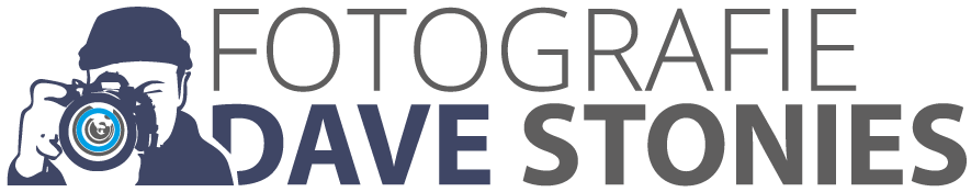 logo_dave_stonies.png