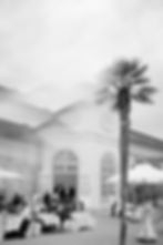 Location Schloss Esterhazy mit einer Palme