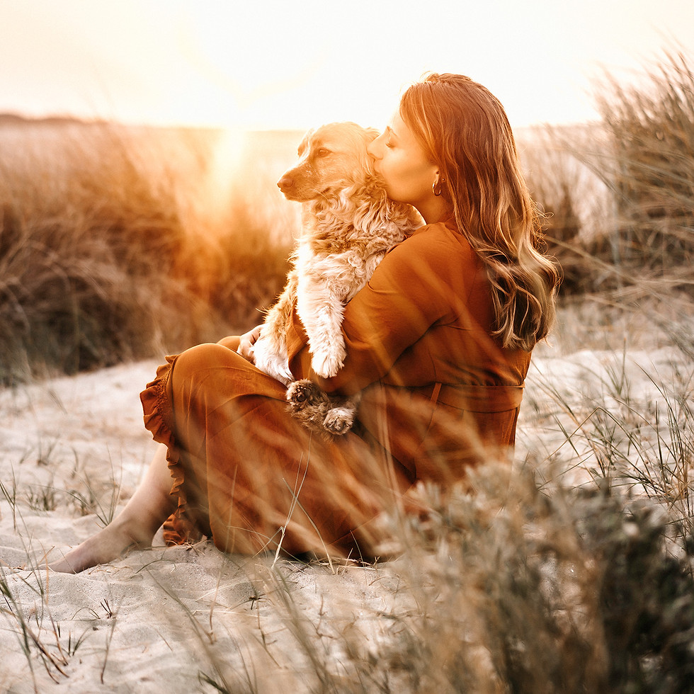 Tierfoto mit Frau und Hund bei Sonnenuntergang in Holland am Strand