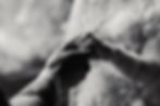 Detailfoto Hände von einem Brautpaar