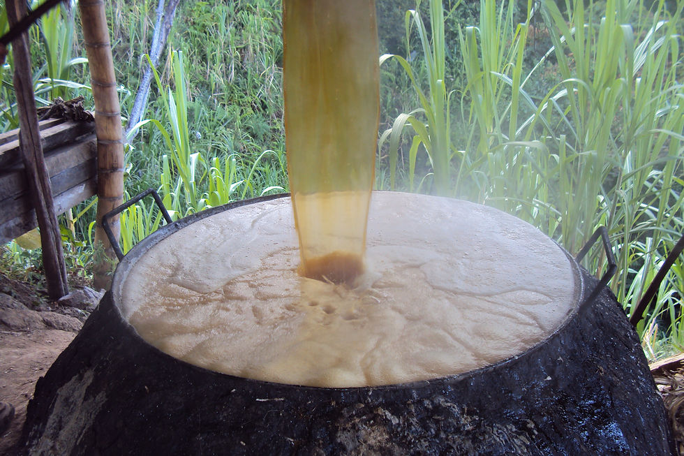 Clarificacion del jugo