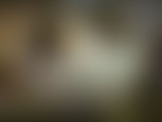 Best Lehenga Colour Combinations 