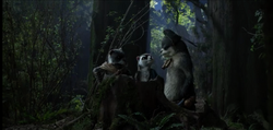 FerretsRender