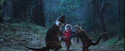 FerretsScaleStoneGrabYYS