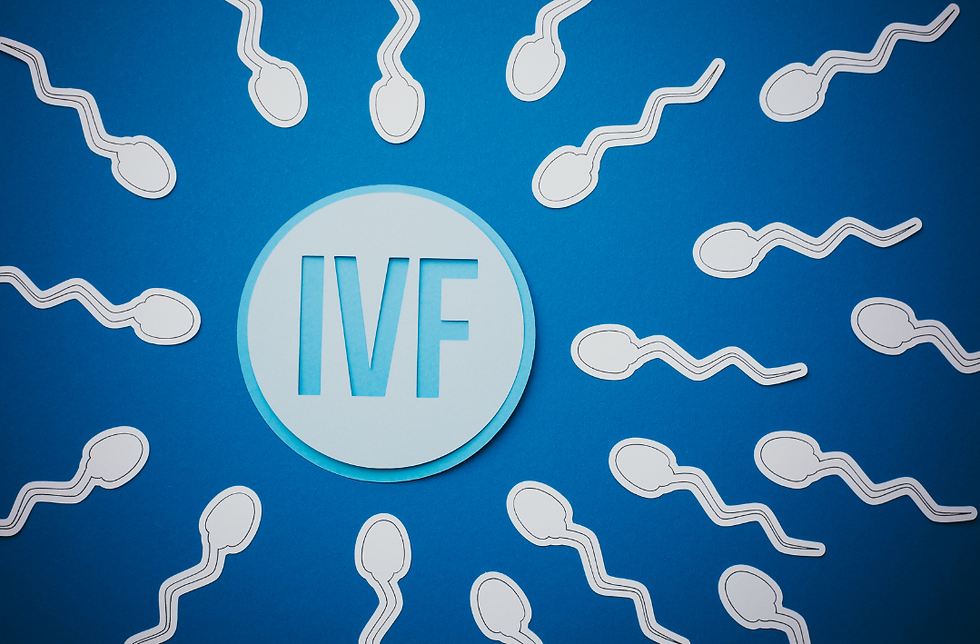 Demystifying In Vitro Fertilization: Confidently Navigate the Phases of IVF