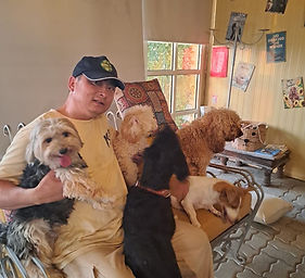 Professional dog trainer in dubai and uae