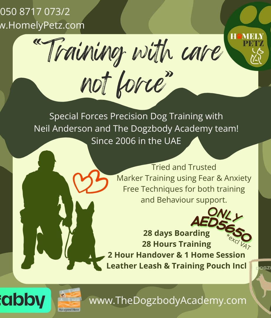 Training with Care Not Force - Winter 2026.jpg