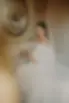NEI_8084.webp