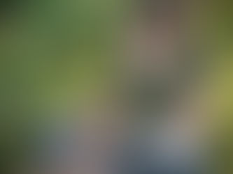 The Reason for My Faith: Why I Am a Christian