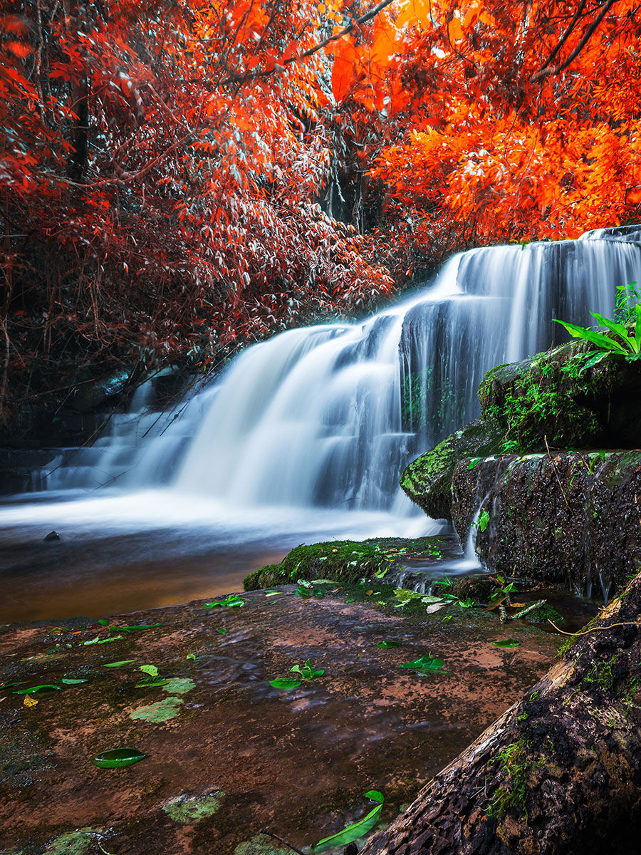 Şelale Görselli Duvar Kağıtları 3D | Sonbahar Orman Duvar Kağıtları Çeşitleri