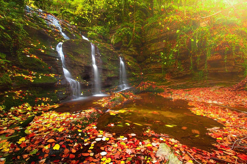 3D Şelale Modelleri Duvar Kağıtları | Sonbahar Manzara Duvar Kağıtları Çeşitleri