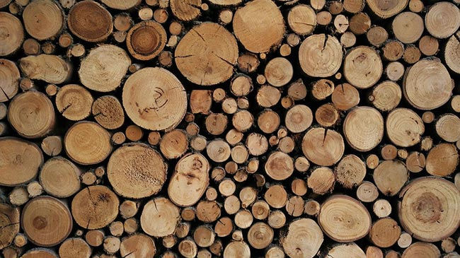 Kereste Ağaç Duvar Kağıdı Kaplama | 3 Boyutlu Duvar Kağıtları | İstanbul