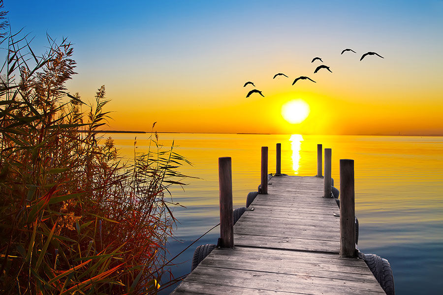 Kabartmalı Gün Batımı Kuş Duvar Kağıtları | 3 Boyutlu Duvar Kağıtları Ankara