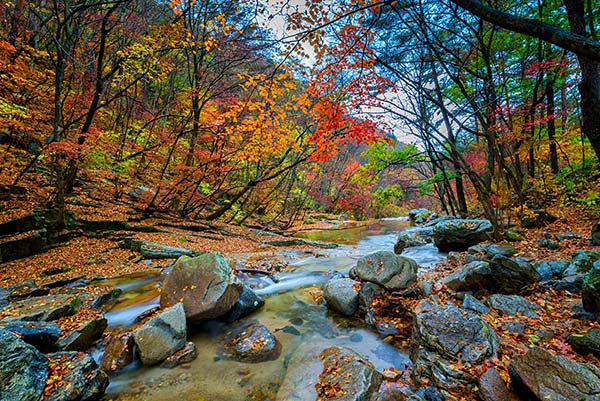 Şelale Modelleri Duvar Kağıtları 3D | Sonbahar Orman Duvar Kağıtları Çeşitleri